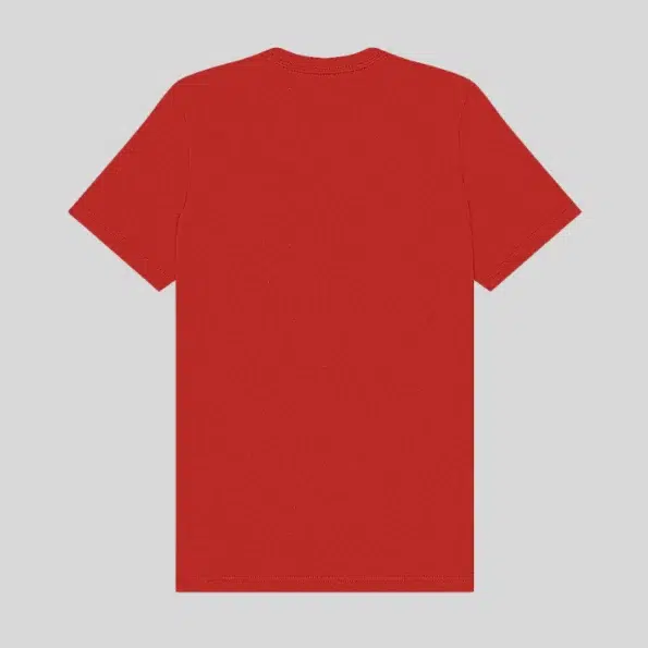 Unisex jersey t-shirt in soft cotton, ideal for screen printing or embroidery in Quebec